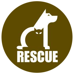 Wild Cats Rescue. Logo design by randyheil